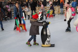 140209patinoire06